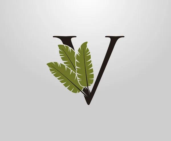 Carta Con Hoja Plátano Verde Concepto Diseño Signos Alfabeto Tropical — Vector de stock