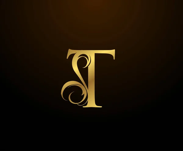 Zarif Baş Harfli Gold Harfi Logosu Kitap Tasarımı Için Klasik — Stok Vektör
