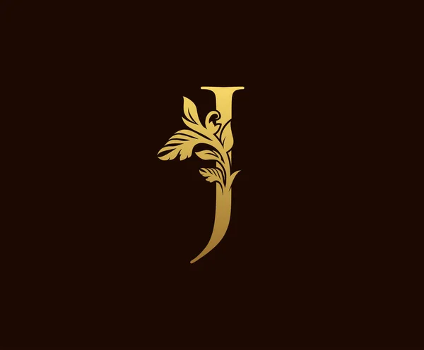 Kezdeti Gold Leaf Logo Design Kecses Stílus Vintage Rajzolt Embléma — Stock Vector