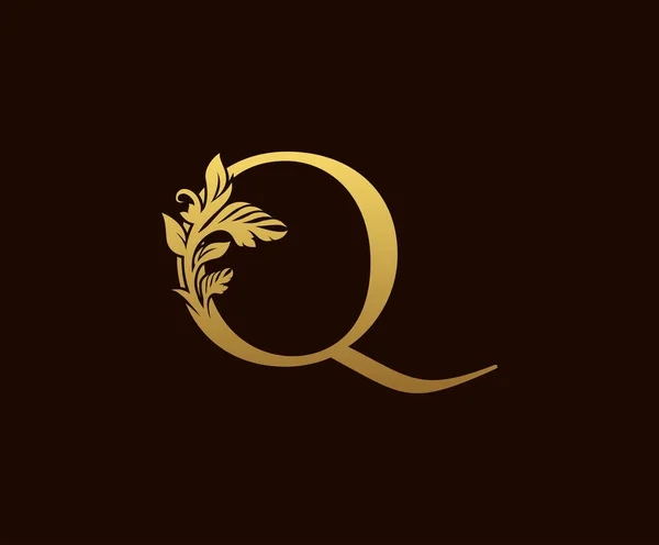 初期Qゴールドリーフロゴデザイン 優雅なスタイルだ 本のデザイン 結婚式の装飾 ブランド名 レタースタンプ レストラン ブティック ホテルのためのヴィンテージ描かれたエンブレム — ストックベクタ