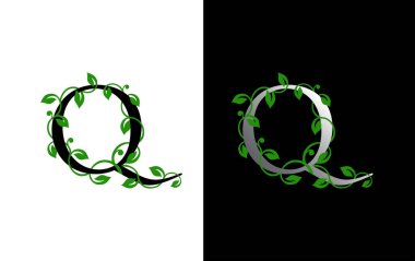 Lüks yeşil yaprak logosu tasarımlı zarif Q Harfi Simgesi. Doğa Q Simgesi.