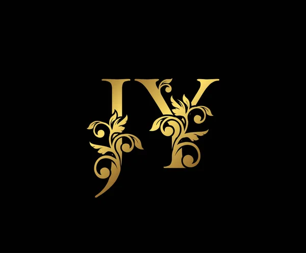 Złoty Luxury Logo Icon Vintage Złote Inicjały Mark Design Elegancki — Wektor stockowy
