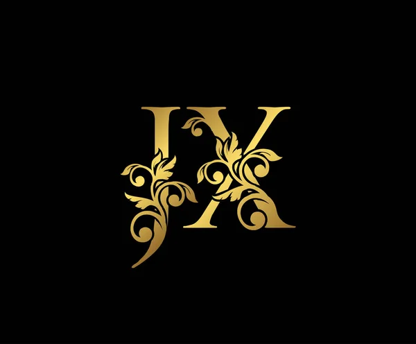 Golden Luxury Logo Icon Vintage Gold Initials Mark Design 黑色底色上精致的豪华金黄色 — 图库矢量图片
