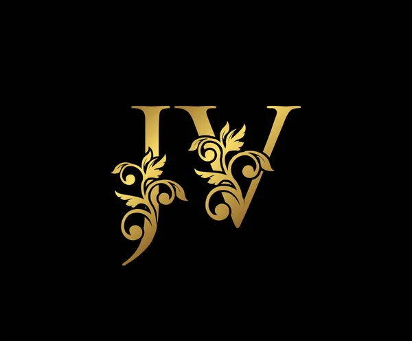 Icono Logotipo Lujo Oro Diseño Marca Iniciales Oro Vintage Elegante — Archivo Imágenes Vectoriales