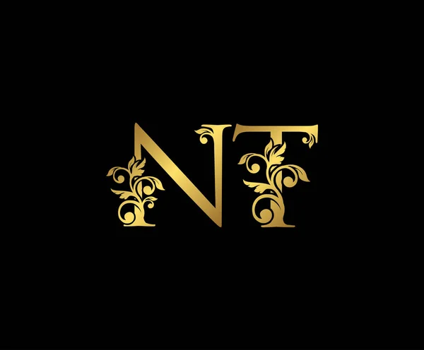 Arany Luxury Logo Ikon Vintage Gold Initials Mark Design Elegáns — Stock Vector