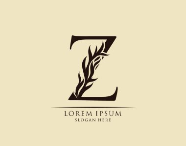 Kaligrafi Z Harfi. Zarif kraliyet tarzı. Hat sanatları logosu. Kitap tasarımı için klasik amblem, marka adı, mühür, restoran, butik, otel.  