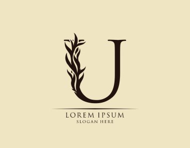 Kaligrafi U Mektubu. Zarif kraliyet tarzı. Hat sanatları logosu. Kitap tasarımı için klasik amblem, marka adı, mühür, restoran, butik, otel.  