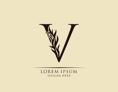 Kaligrafi V Harfi. Zarif kraliyet tarzı. Hat sanatları logosu. Kitap tasarımı için klasik amblem, marka adı, mühür, restoran, butik, otel.  