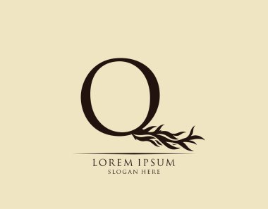 Kaligrafi Q Harfi. Zarif kraliyet tarzı. Hat sanatları logosu. Kitap tasarımı için klasik amblem, marka adı, mühür, restoran, butik, otel.  