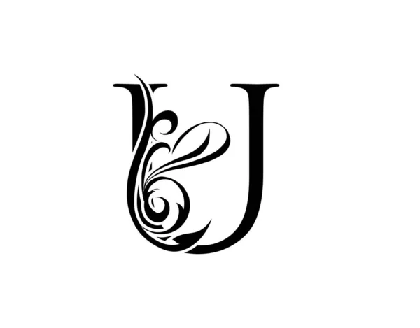 Κομψό Γράμμα Χαριτωμένο Βασιλικό Στυλ Λογότυπο Καλλιγραφικών Τεχνών Vintage Σχέδιο — Διανυσματικό Αρχείο