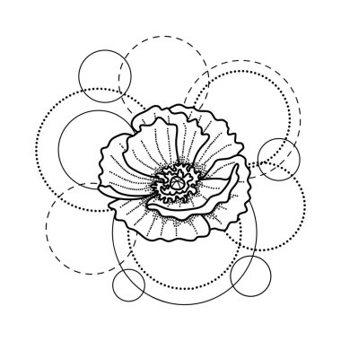 Haşhaş ve beyaz arka plan üzerinde daireler ile dövme