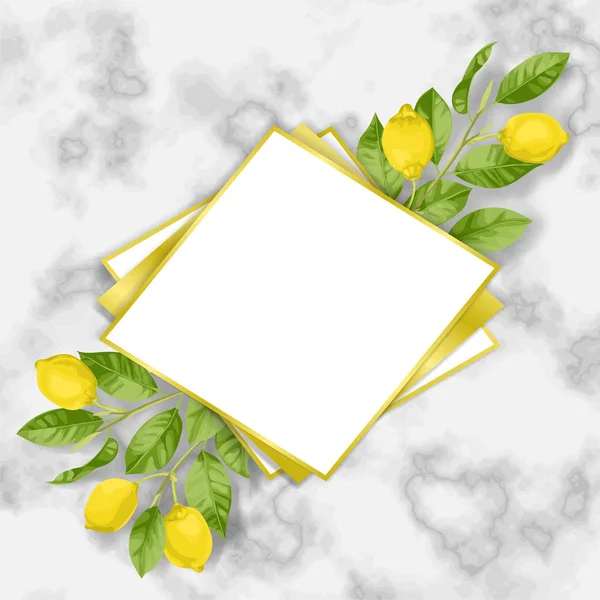 Classic Marble Template with Lemon Brunches — Stock Vector