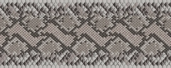 Banner web de moda de piel de serpiente beige y marrón — Vector de stock