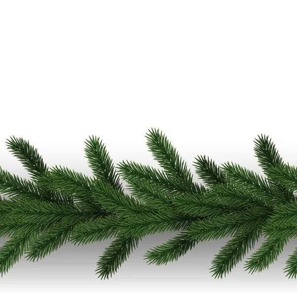 Fir Tree Branch Seamless Border on White Background — Stock Vector