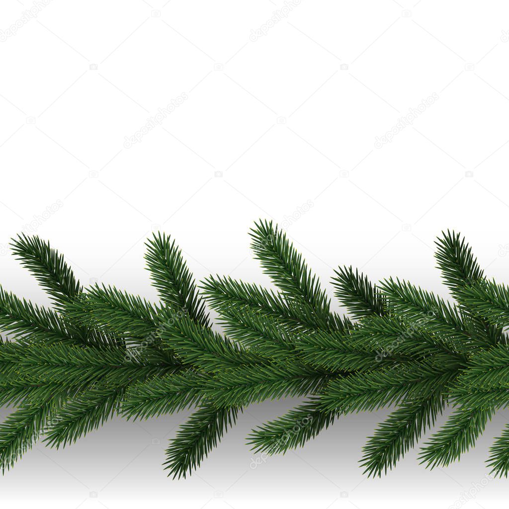 Fir Tree Branch Seamless Border on White Background