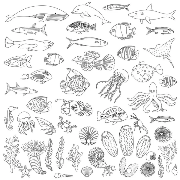 Deniz balığı ve bitkiler boyama anahat seti