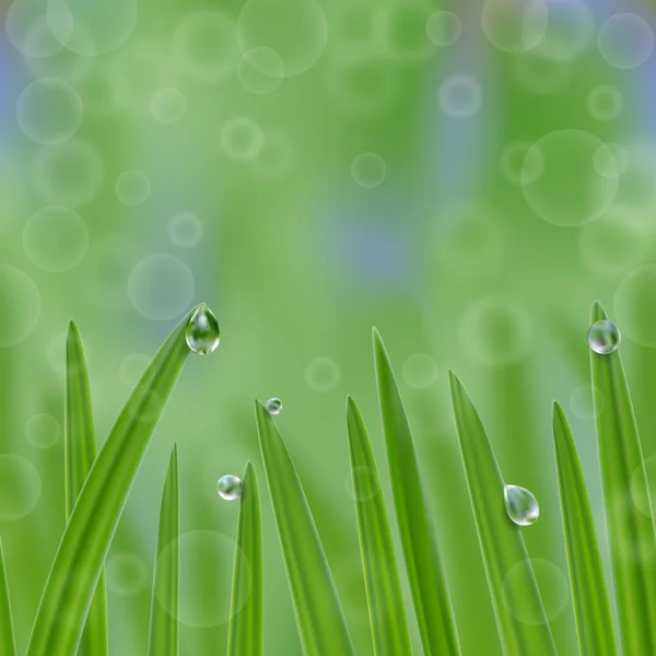 Grass in droplets of water seamless border — Stock Vector