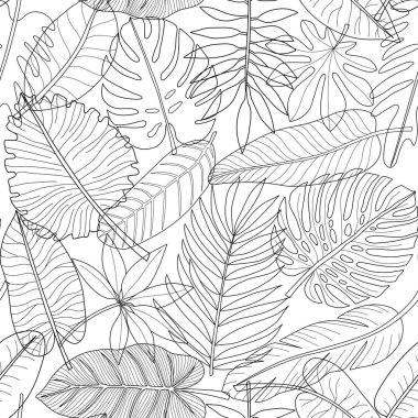Tropikal bitkilerin yaprakları siyah ve beyaz anahat dikişsiz desen