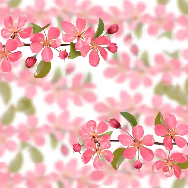 Rami di ciliegio in fiore rosa con sfondo effetto bokeh — Vettoriale Stock
