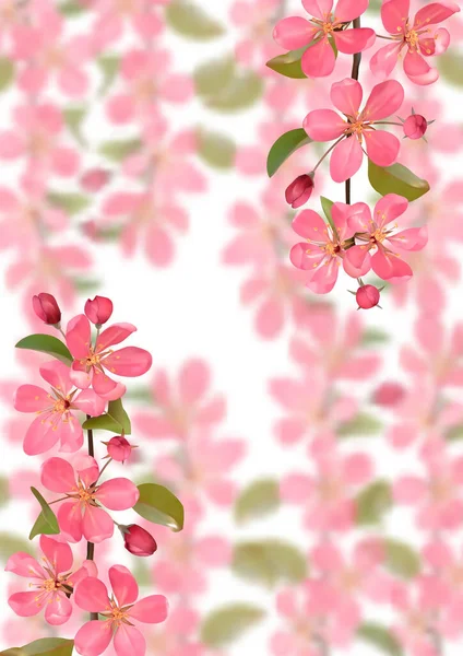 Rami di ciliegio in fiore rosa con sfondo effetto bokeh — Vettoriale Stock