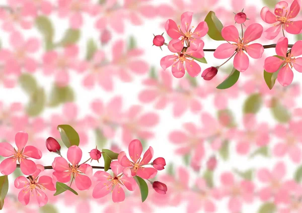 Pink blossoming cherry branches with bokeh effect background — Stock Vector