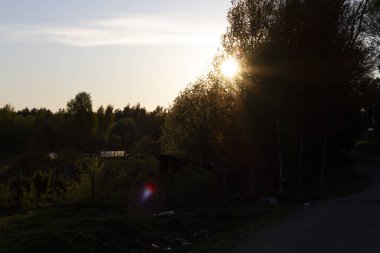 Batan güneşin ve ağaçların güzel manzarası