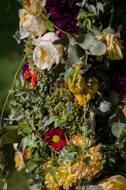 Su tarafından aydınlatılan bulanık yeşil arkaplanda farklı renklerin güzel kompozisyonu