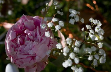 Bulanık bir arkaplanda güzel bir çiçek aranjmanı