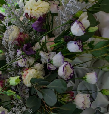 Bulanık arkaplanda pembe ve beyaz güllerin güzel kompozisyonu