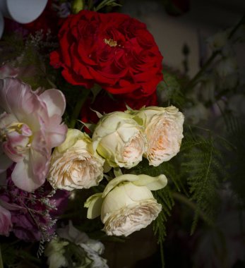 Kırmızı, pembe ve beyaz güllerin güzel kompozisyonu Bulanık bir arka grubunda