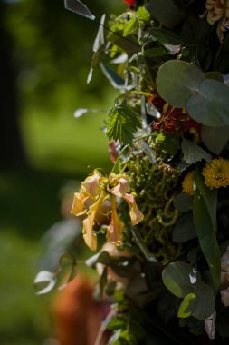 Su tarafından aydınlatılan bulanık yeşil arkaplanda farklı renklerin güzel kompozisyonu