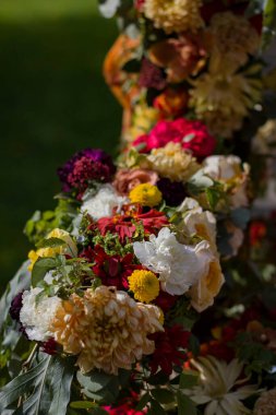 Su tarafından aydınlatılan bulanık yeşil arkaplanda çok güzel renkler var.