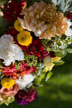 Bahar suyu tarafından aydınlatılan bulanık yeşil arkaplanda farklı renklerin güzel kompozisyonu