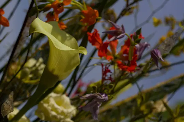 Πολύ Όμορφη Σύνθεση Λουλουδιών Ένα Θολό Πράσινο Φόντο Φωτίζεται Από — Φωτογραφία Αρχείου
