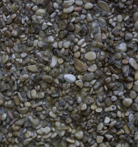 Texture Small Stones Gray Concrete Backgroun — Stock Photo, Image