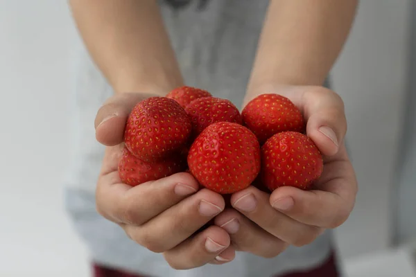 子供の手のイメージを閉じると 多くの赤いジューシーなイチゴを保持します 健康的でビタミン食品の概念 幸せな子供時代 — ストック写真