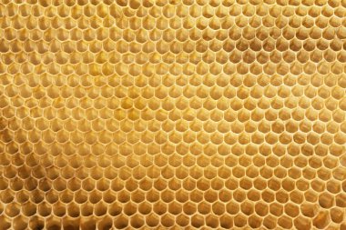 Altıgen şekilli bal için boş hücreler içeren sarı Beecomb arkaplanı, apikultür konsepti