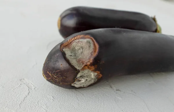 Yanlarında gri küf lekeleri olan olgun patlıcan görüntüsü ışık masasında yatıyor. Çirkin ve sağlıksız gıda konsepti, malların yanlış depolanması.