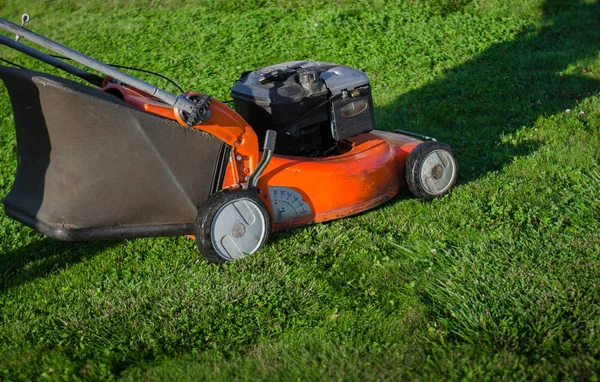 Närbild Arbetare Klipper Gräs Gräsmatta Med Gräsklippare Trädgård — Stockfoto