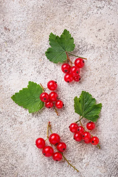 Baies et feuilles mûres de groseille rouge — Photo