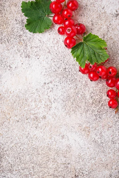 Baies et feuilles mûres de groseille rouge — Photo