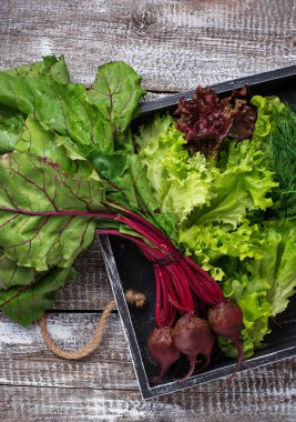 Beetroots, marul ve maydanoz ahşap kutusunda