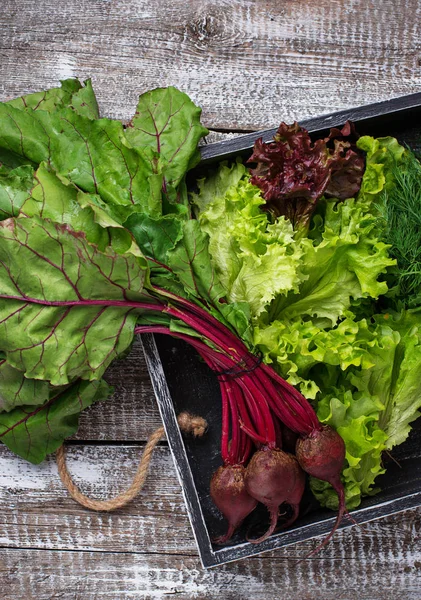 Beetroots, marul ve maydanoz ahşap kutusunda