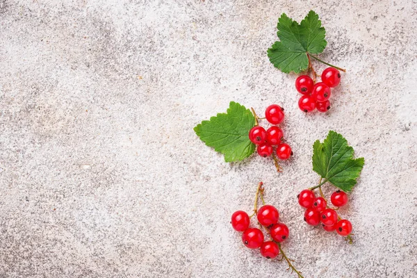 Ripe red currant berries and leaves — Stock Photo, Image