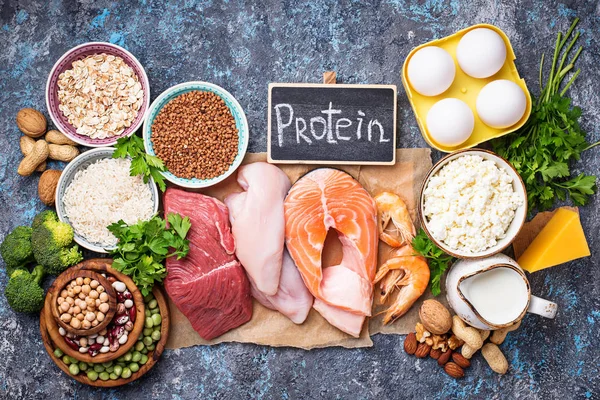 Sağlıklı gıda protein yüksek. Et, balık, süt ve süt ürünleri, Kuruyemiş ve fasulye. Üstten görünüm