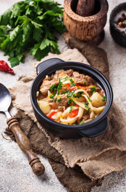 Geleneksel oryantal özbek çorba lagman 