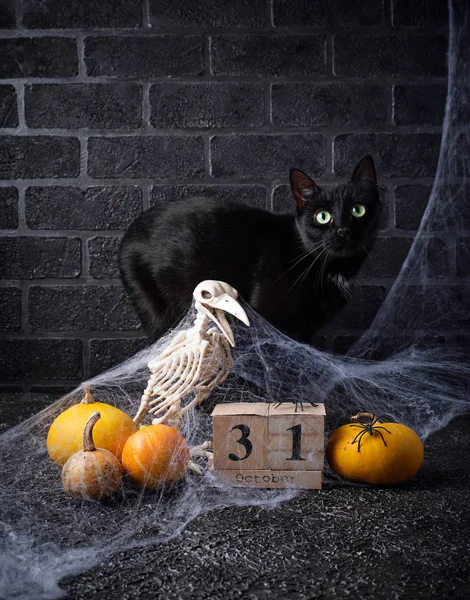 Halloween podłoże drewniane kalendarz — Zdjęcie stockowe