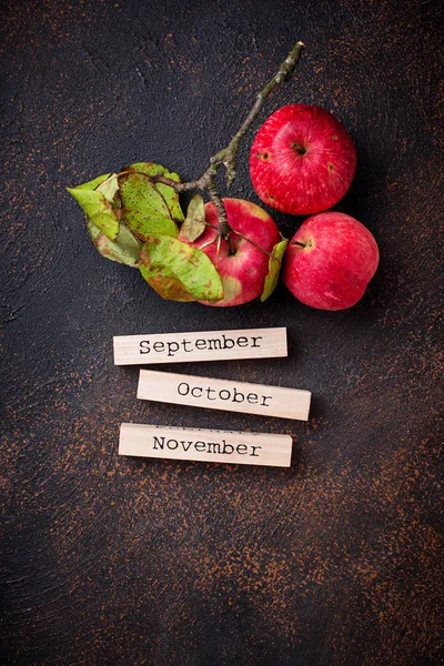 Fond d'automne créatif avec des pommes — Photo