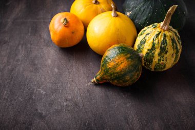 Dekoratif kabaklar ürün yelpazesine. Sonbahar arka plan 