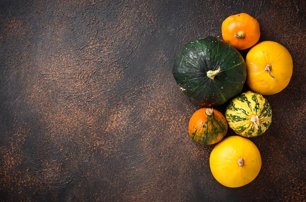 Surtido de calabazas decorativas. Fondo de otoño — Foto de Stock